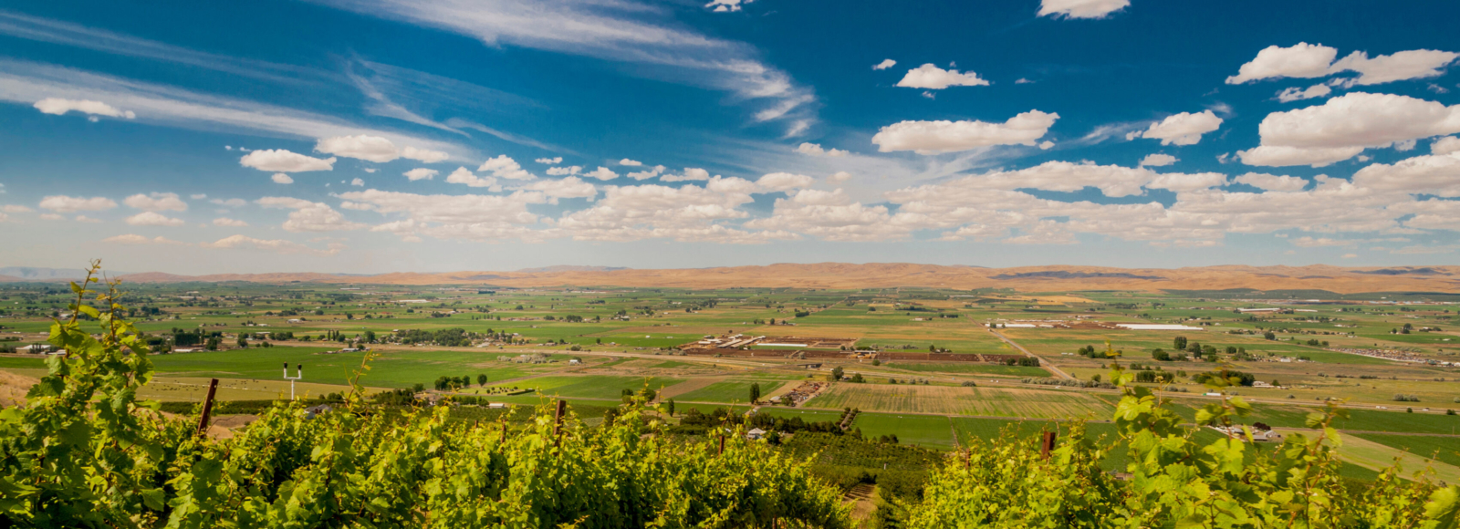 Yakima Valley Region 1