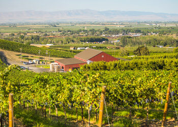 Yakima Valley Region 4