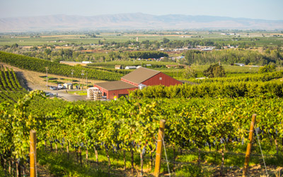 Yakima Valley Region 4